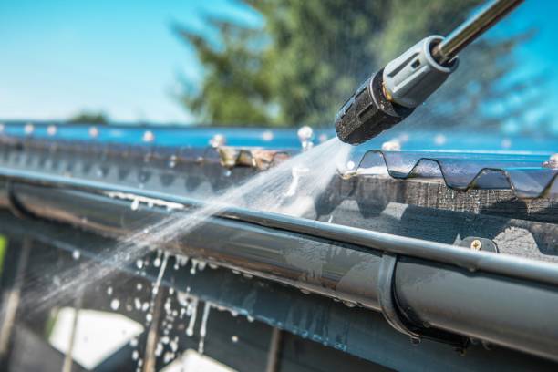 Best Roof Pressure Washing  in St Johns, MI