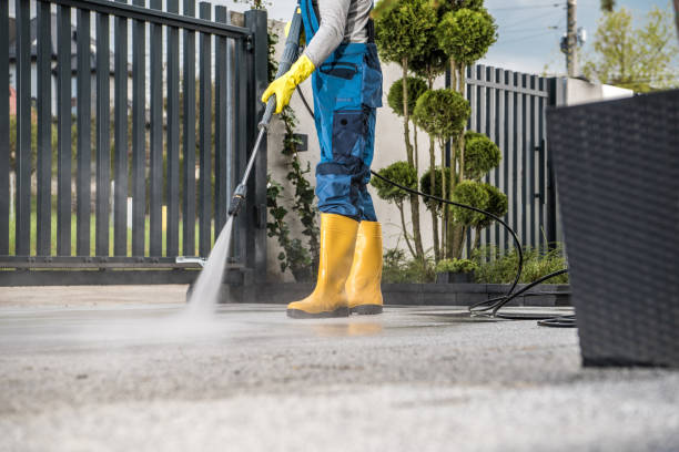 Best Pressure Washing Company Near Me  in St Johns, MI