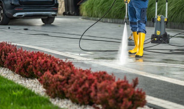 Best Pressure Washing Company Near Me  in St Johns, MI