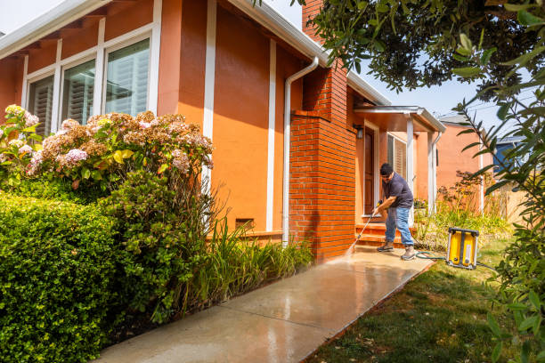 Best Deck Cleaning Services  in St Johns, MI