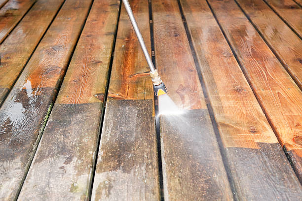 Best Roof Power Washing Services  in St Johns, MI