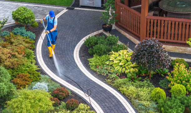 Best Roof Pressure Washing  in St Johns, MI