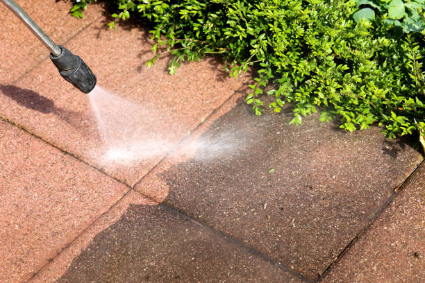 Best Pressure Washing Near Me  in St Johns, MI