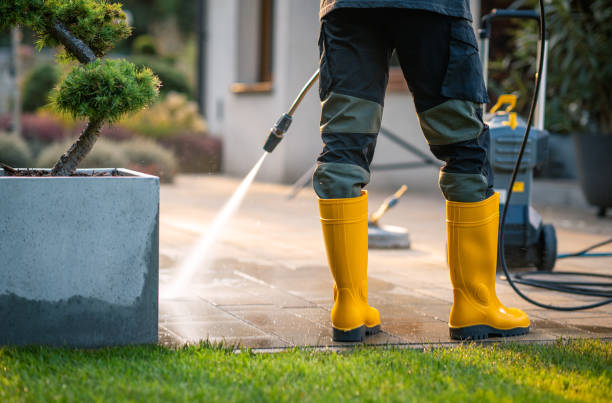 Best Residential Pressure Washing Services  in St Johns, MI
